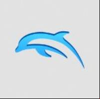 Dolphin Emulator Apk