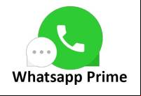 WhatsApp Prime Apk