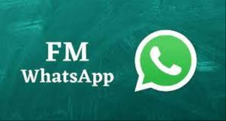 FM WhatsApp Apk