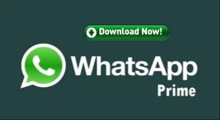 WhatsApp Prime