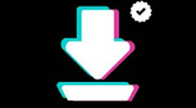 Snaptik App Apk