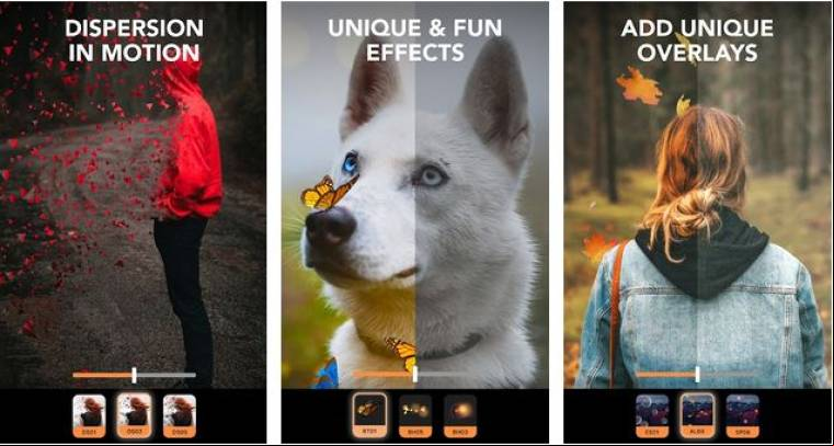 Motionleap Mod APK